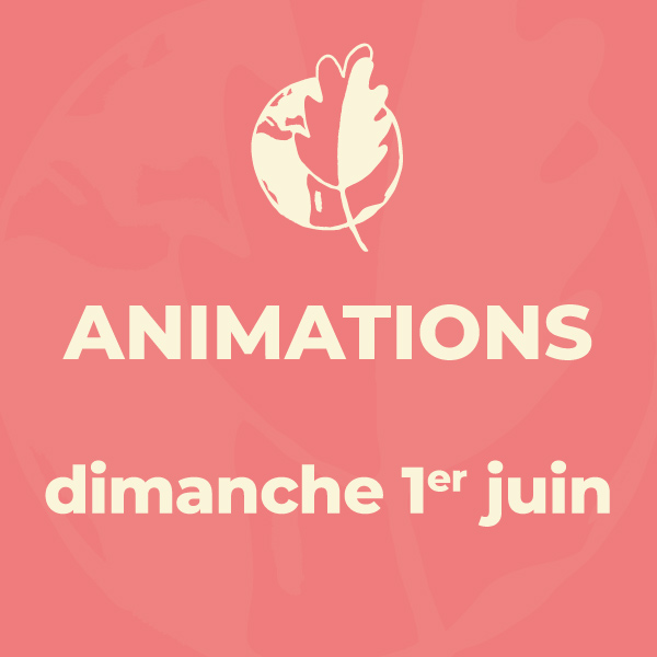 Animations du dimanche 1er juin 2025